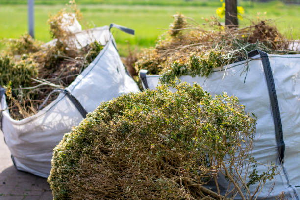 Best Yard Waste Removal  in Chatfield, MN